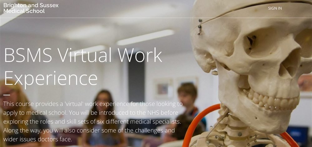 BSMS Virtual Work Experience